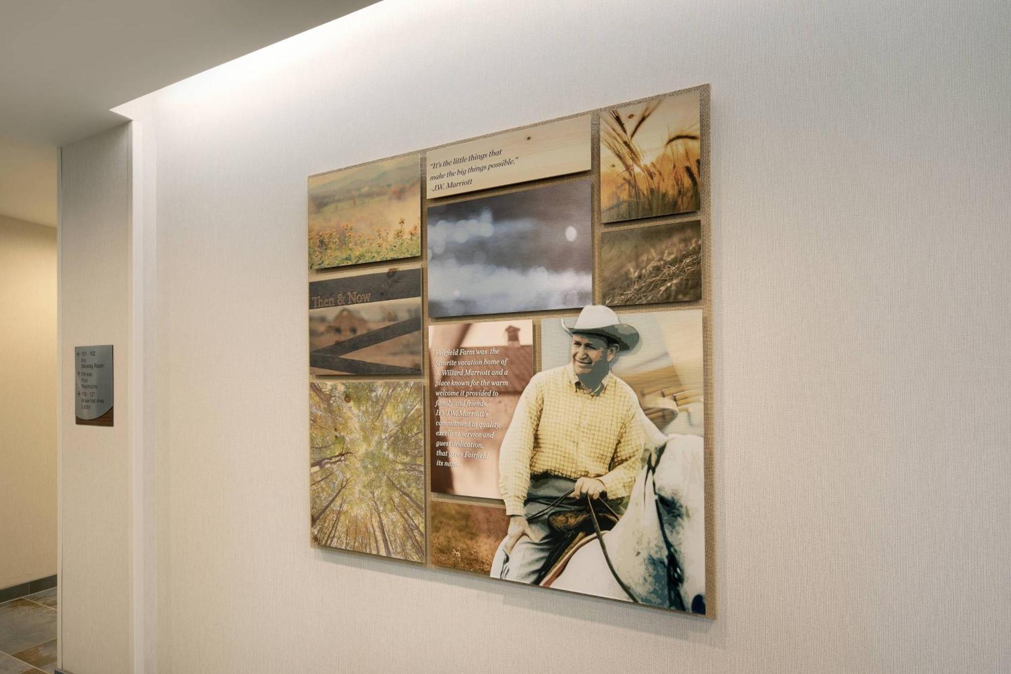 Fairfield Inn & Suites By Marriott Tampa Wesley Chapel Luaran gambar